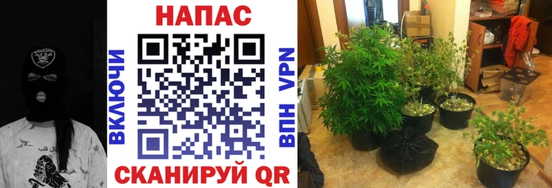 Купить МАРИХУАНА  Мефедрон  Верхняя Тура