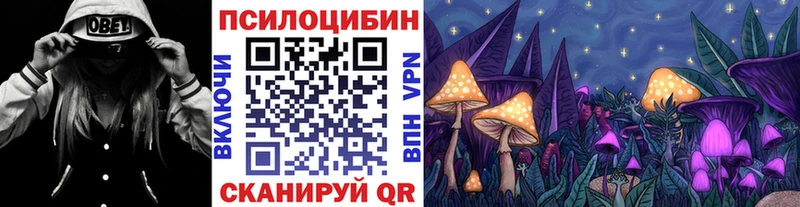 Купить где  Верхняя Тура  Галлюциногенные грибы мухоморы 